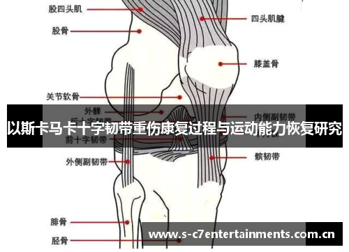 以斯卡马卡十字韧带重伤康复过程与运动能力恢复研究 以斯卡马卡十字韧带重伤康复过程与运动能力恢复研究